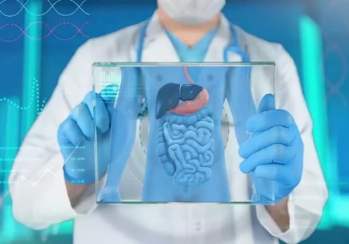 A doctor is holding a demographic of organ